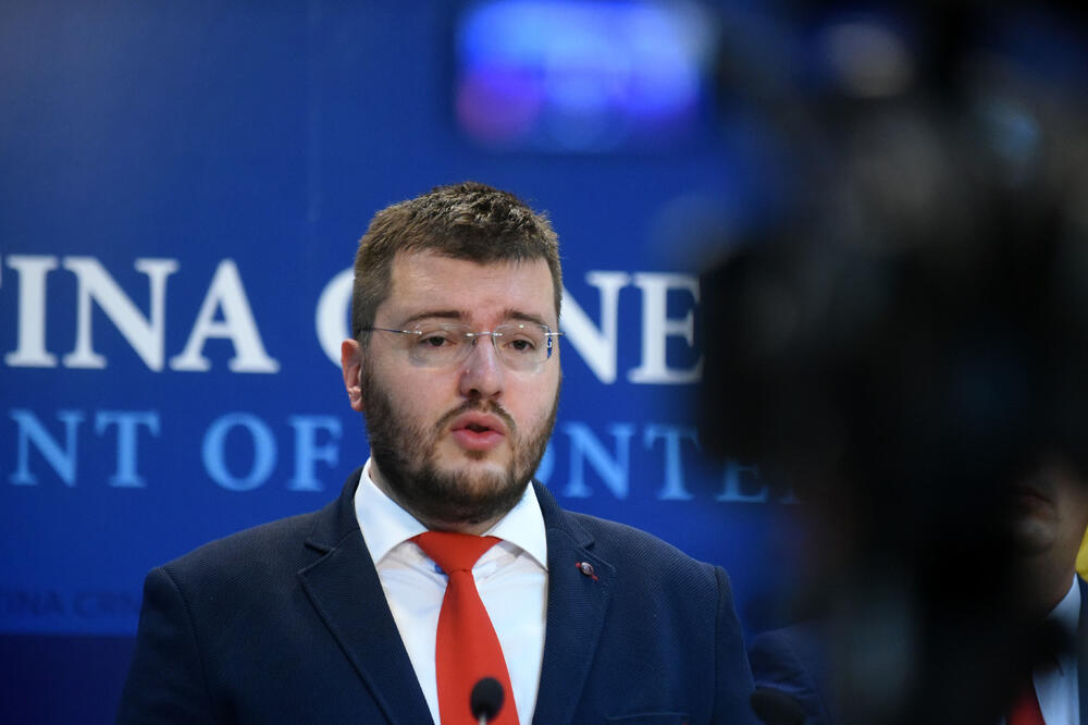 Vlada što prije da predloži zakon: Koprivica, Foto: Boris Pejović