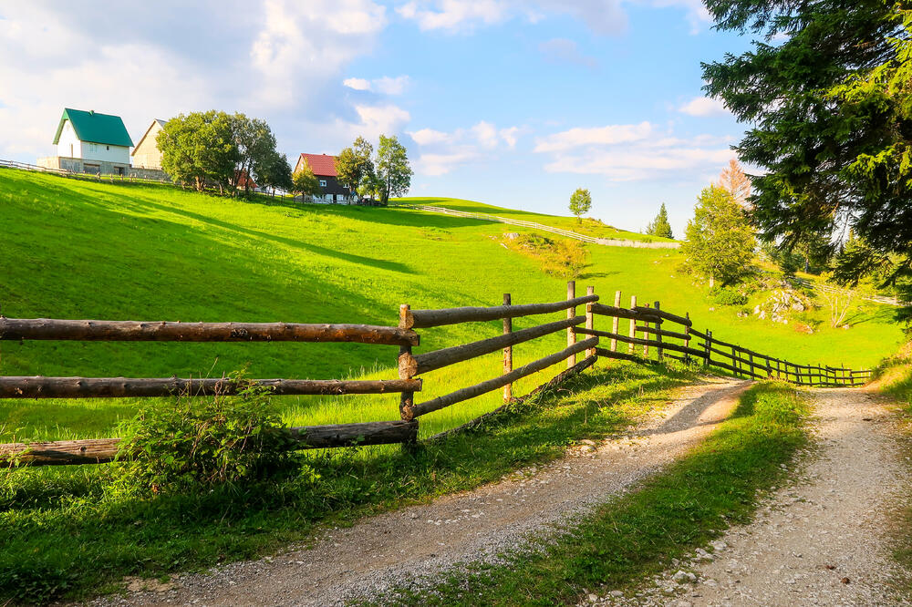 Ilustracija, Foto: Shutterstock