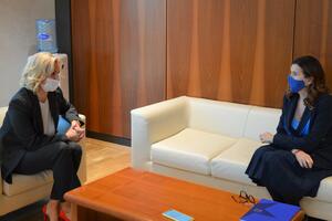 Borovinić Bojović: Nesebična pomoć EU i u vrijeme pandemije