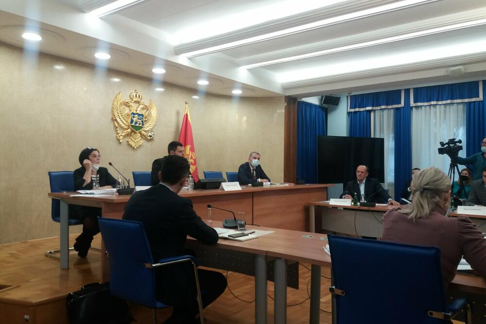 Sa sjednice odbora, Foto: Željka Vučinić