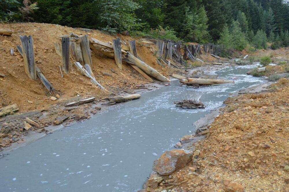 Potok uzvodno od ušća u Ćehotinu, Foto: Privatna arhiva