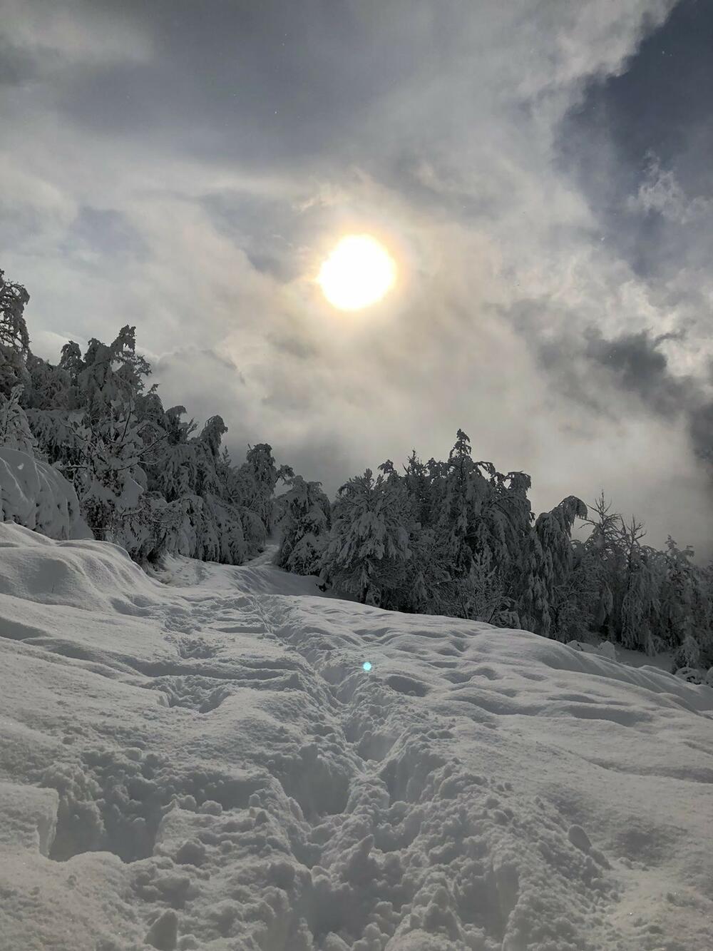 nagradna akcija 2020, us polo, vijesti