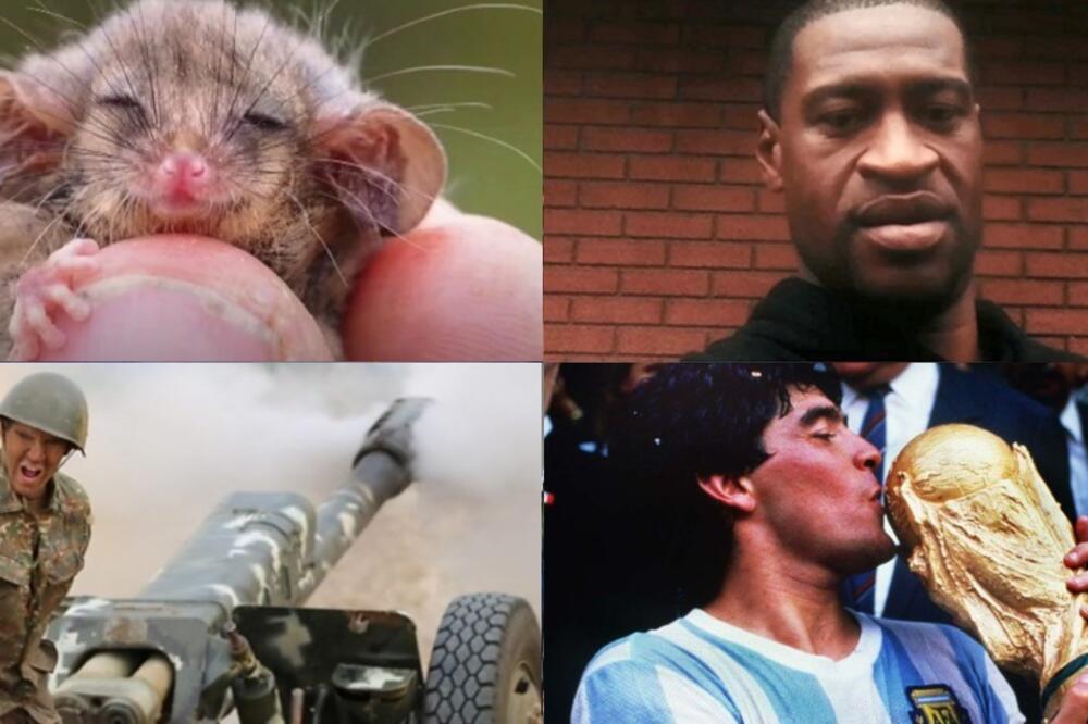 Foto: BBC/Reuters/Rex Feauteres