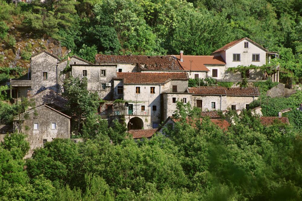 Godinje, Foto: Shutterstock
