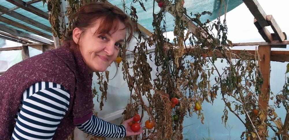 U plasteniku uspijeva sve što posade