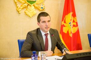 Bečić: Nenadoknadiv gubitak za BiH i region