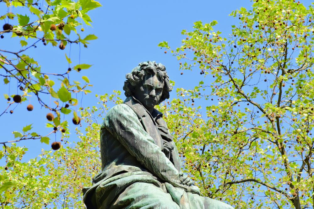 Spomenik Betovenu u Beču, Foto: Printscreen