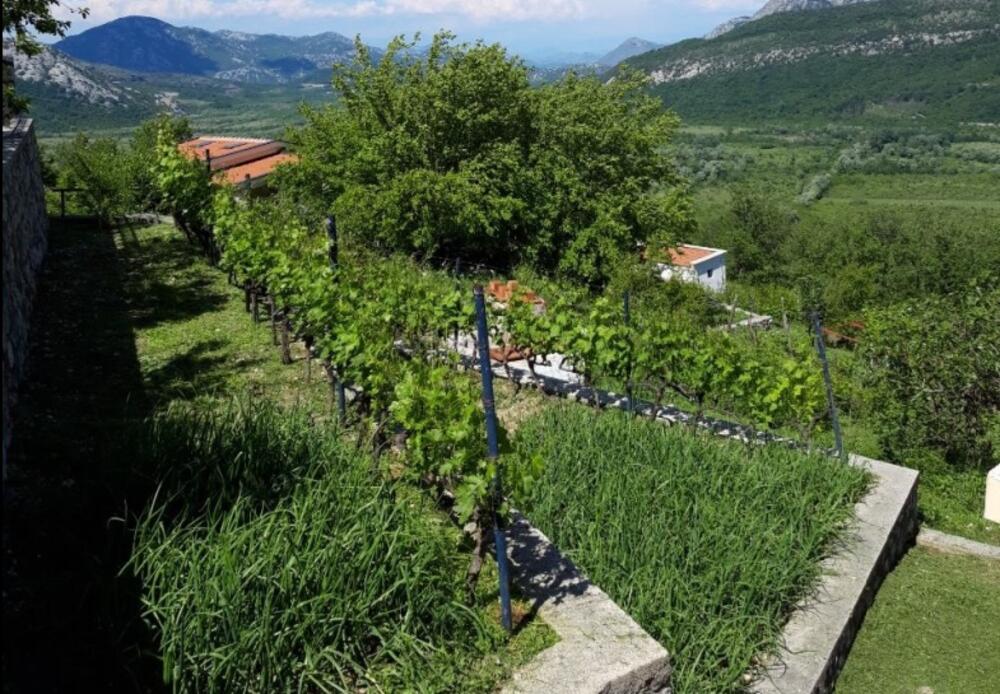 Sa imanja Ćetkovića pruža se nevjerovatan pogled na Crmnicu, Foto: Privatna arhiva