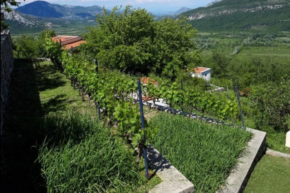 Sa imanja Ćetkovića pruža se nevjerovatan pogled na Crmnicu, Foto: Privatna arhiva