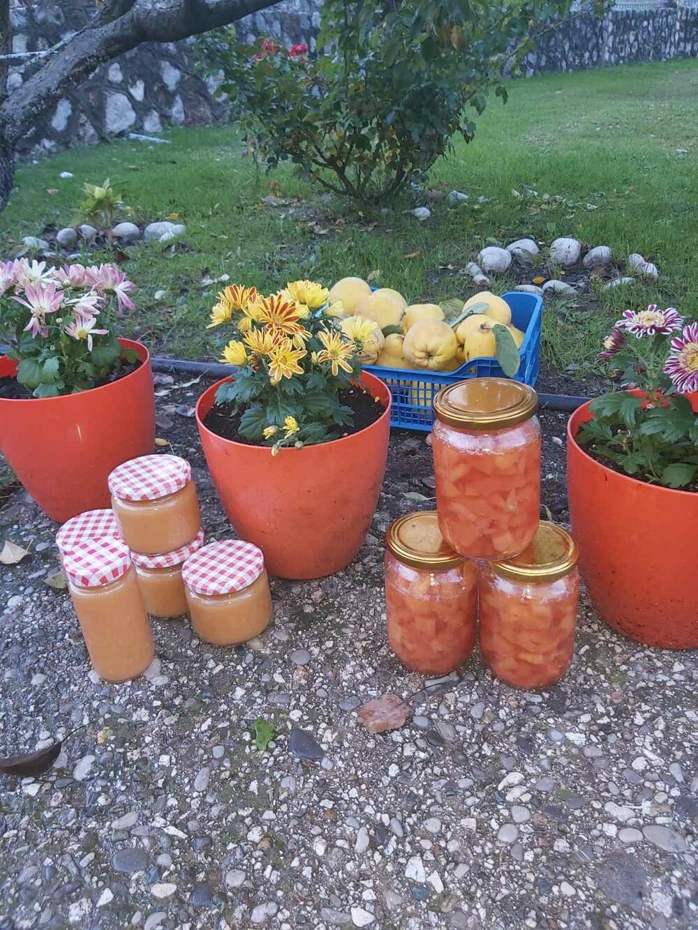 Crmnica je poznata kao oblast gdje sve uspijeva, po našim Ćetkovićima se to i vidi 