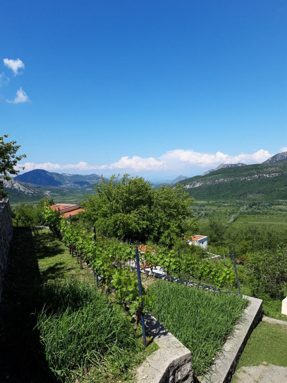 Sa imanja Ćetkovića pruža se nevjerovatan pogled na Crmnicu