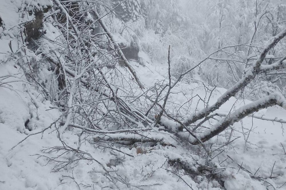 Put ka Rečinama snimljen uoči Nove godine, Foto: Dragana Šćepanović