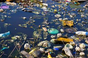 AP: Ogromna ostrva otpada plutaju rijekama Balkana