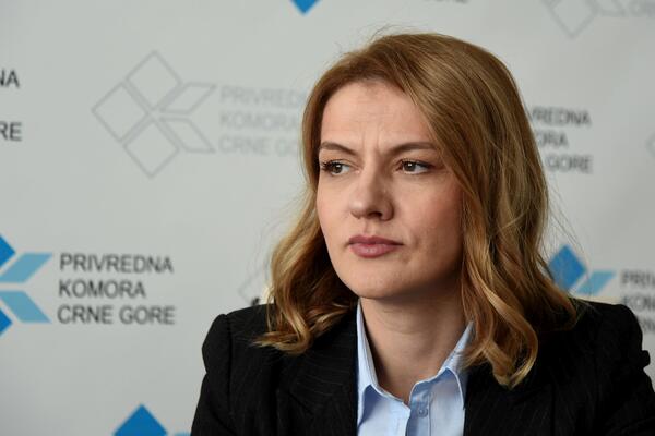 Drakić: Privredu opterećuju nelikvidnost, siva ekonomija i deficit...