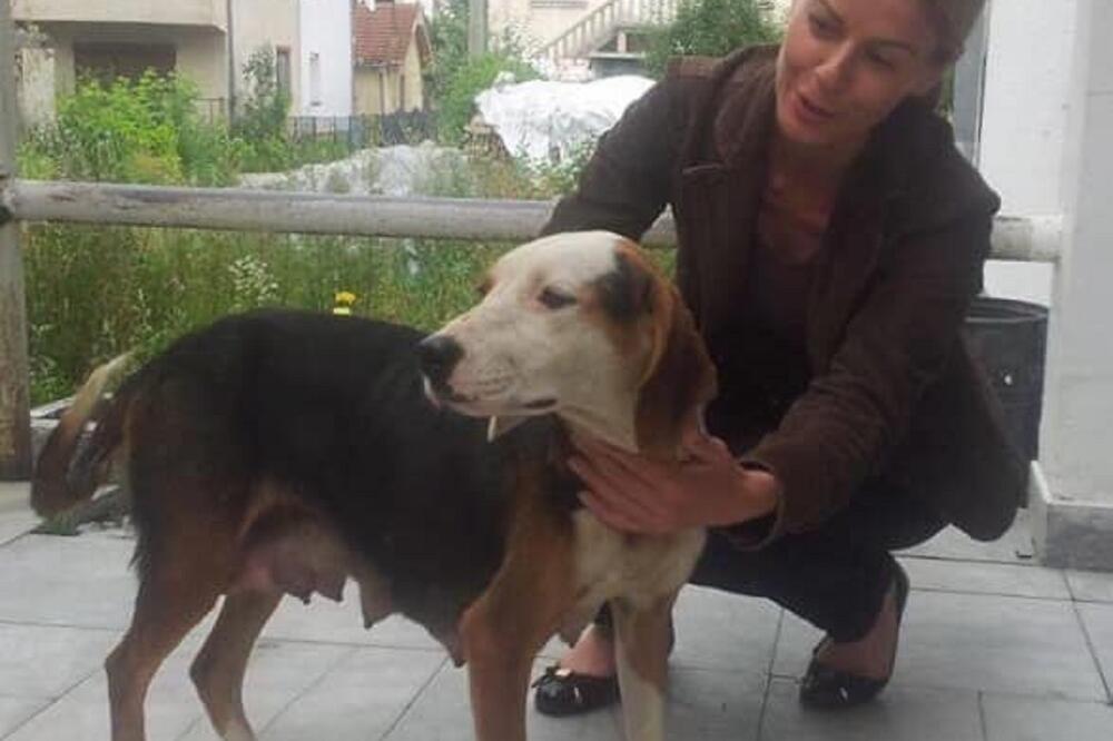 Gargović zbrinjava pse godinama (iz arhive), Foto: Privatna arhiva