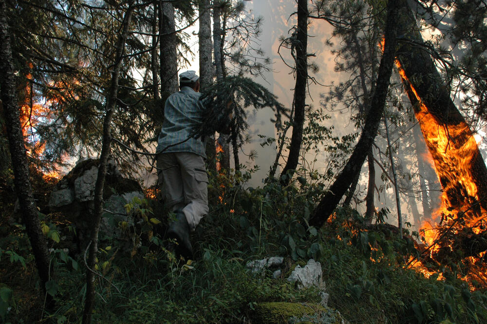 2012.godine u požaru u Župi stradali su hektari šuma, Foto: Ivan Petrušić