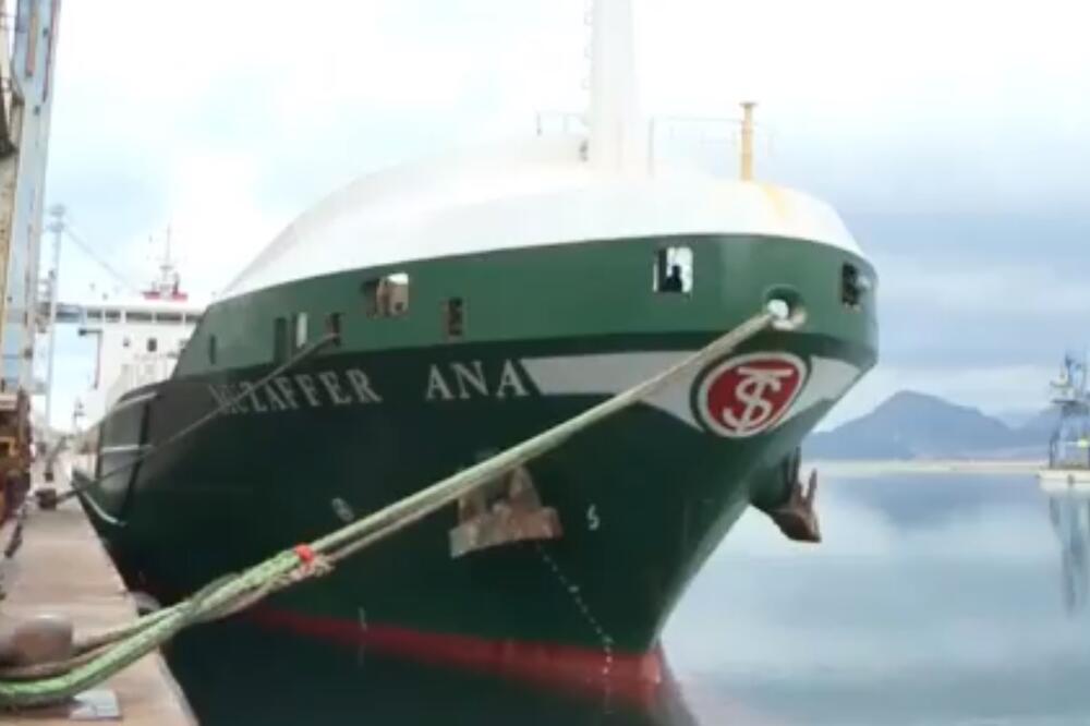 Brod kojim je pšenica dopremljena u aprilu 2020., Foto: Screenshot