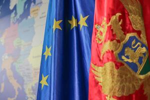 EU dodijelila 4,2 miliona eura podrške za civilno društvo u Crnoj...