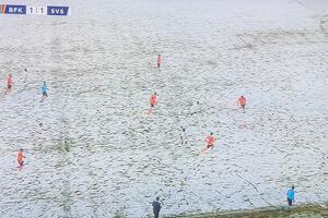 Koliko igrača vidite na slici: Bijeli na bijelom