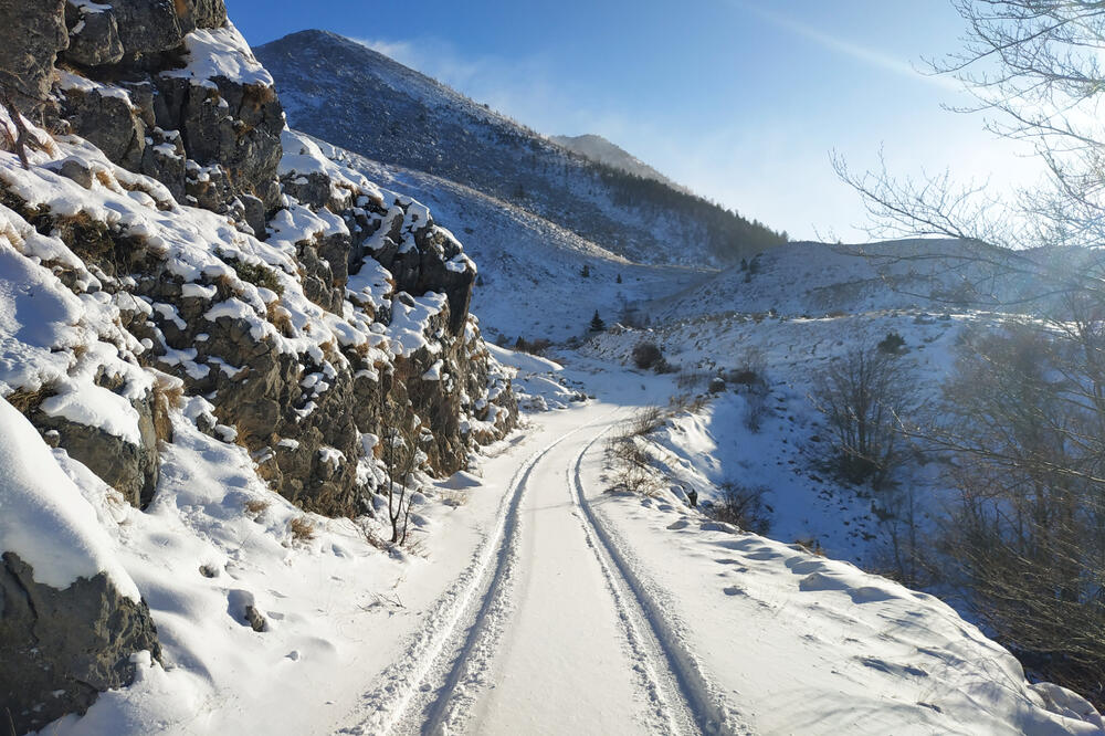 Ilustracija, Foto: Shutterstock