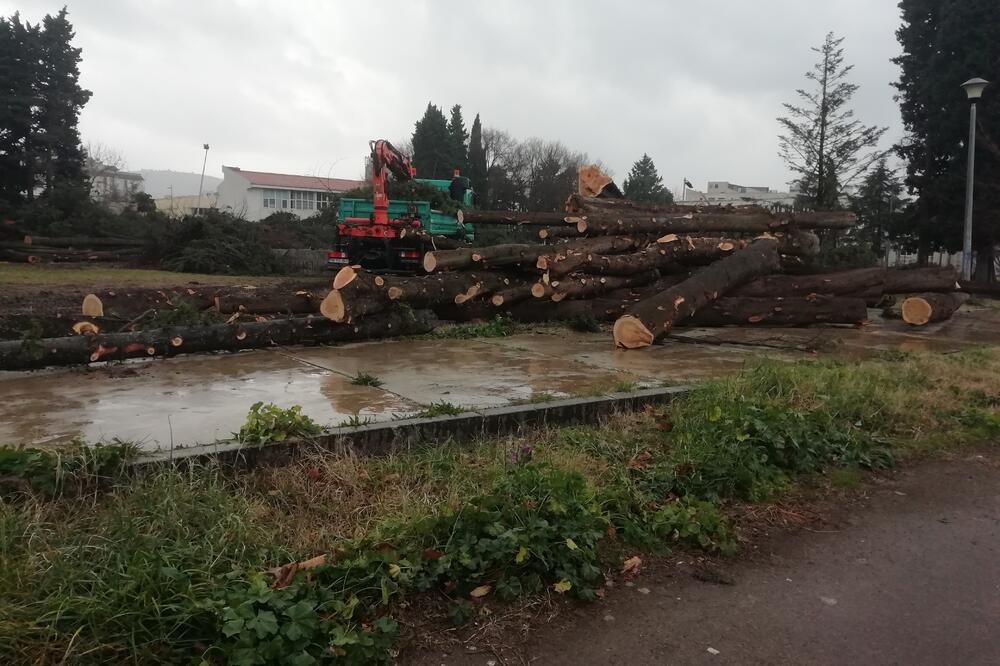 Foto: Radomir Petrić