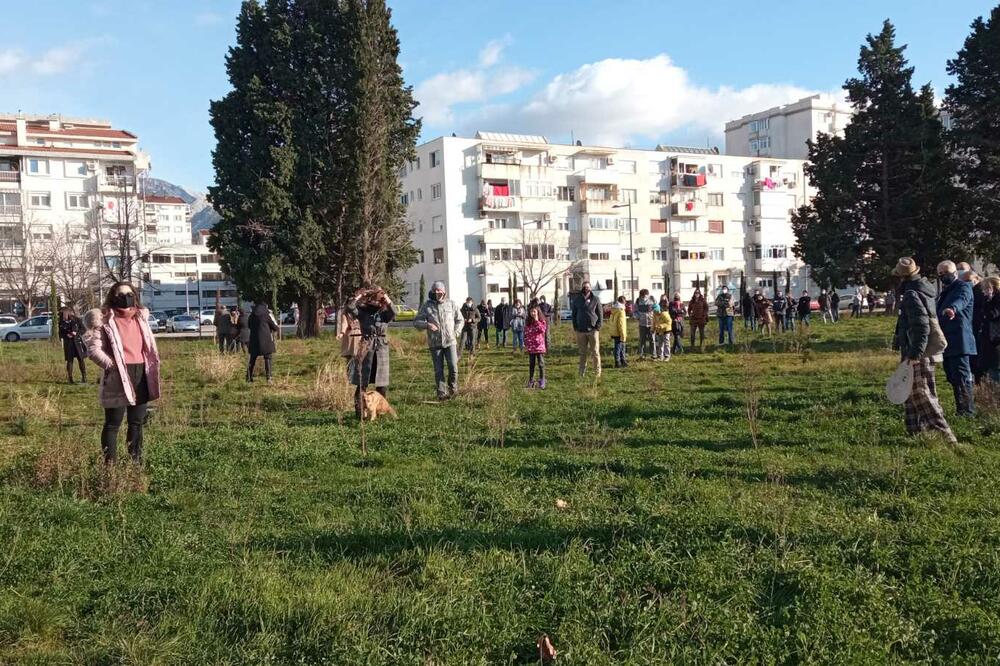 Građani se okupili u dvorištu i obilježili dvije godine od sjeće čempresa, Foto: Marija Pešić