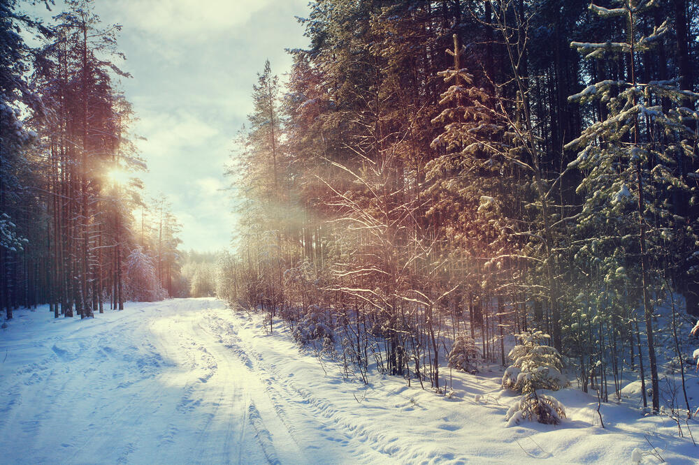 Ilustracija, Foto: Shutterstock