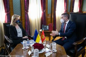 Bečić: Podrška Ukrajini na evropskom i avroatlanskom putu