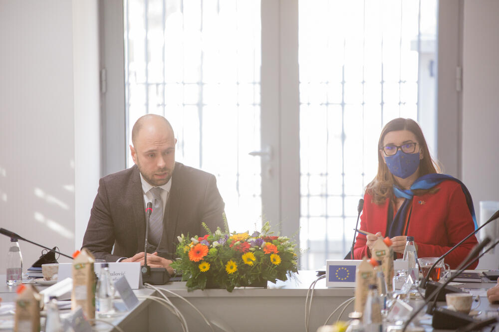 Radulović i šefica Delegacije EU Oana Kristina Popa, Foto: MVP