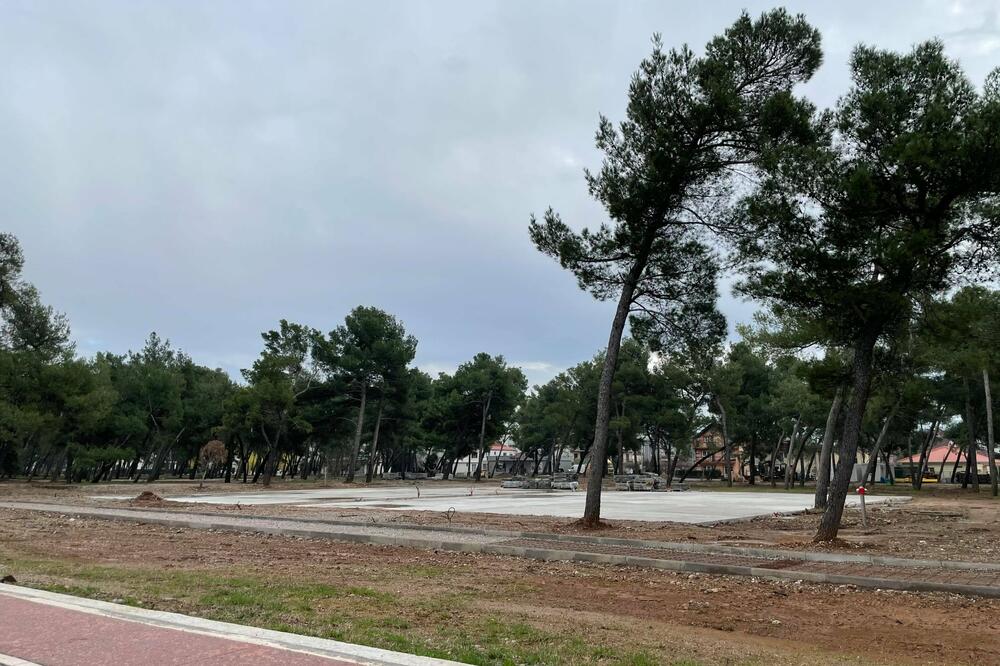 Radovi u Tološkoj šumi, Foto: KANA