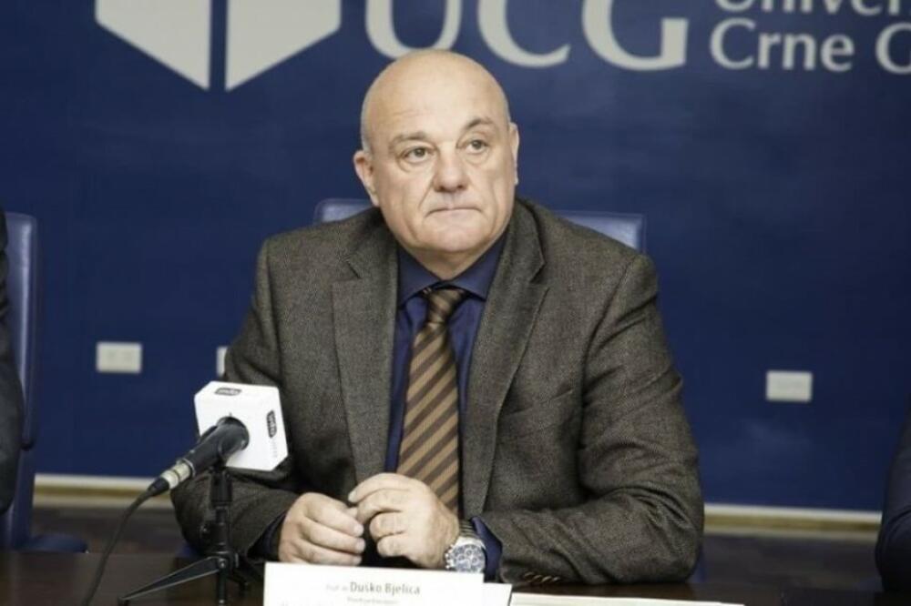 Bjelica, Foto: Ucg.ac.me