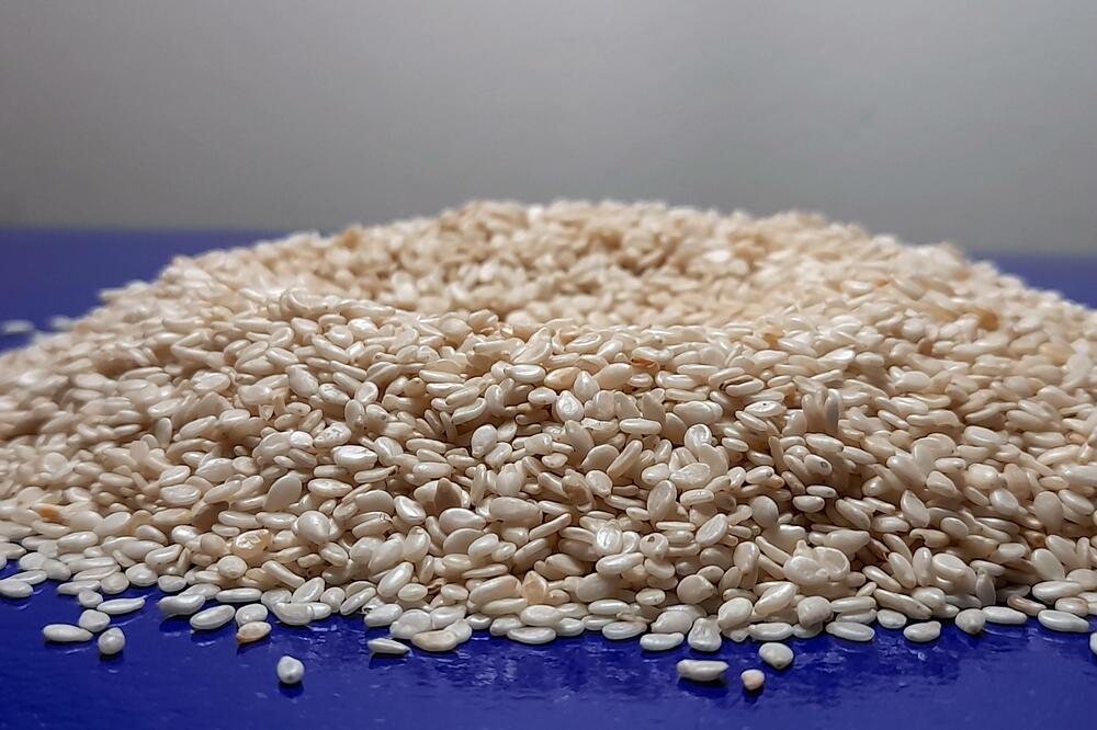 Evropske zemlje mjesecima preplavljene indijskim susamom (ilustracija), Foto: BETAPHOTO/HINA/Mario VRANDECIC/DS