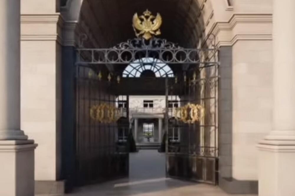 Detalj sa snimka, Foto: Printscreen