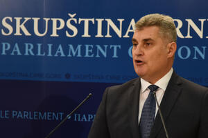 Brajović: Poslanici SD vraćaju se u Parlament