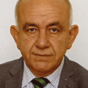 Panayotis Partsos