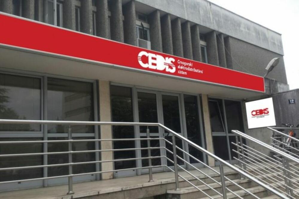 CEDIS (ilustracija), Foto: CEDIS