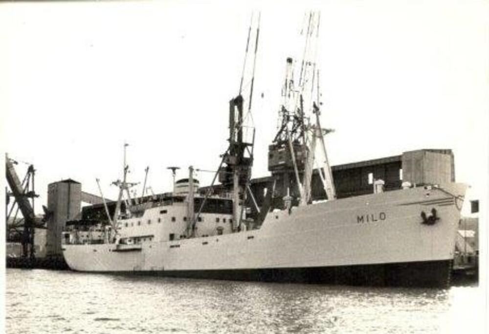 Sekulovićev brod “Milo”