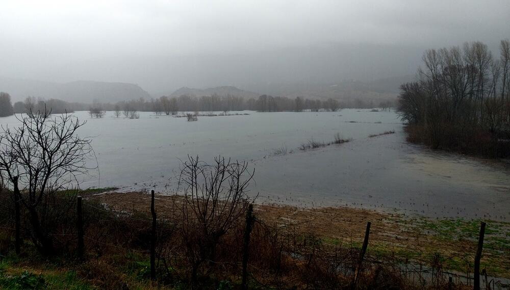 Foto: Svetlana Mandić