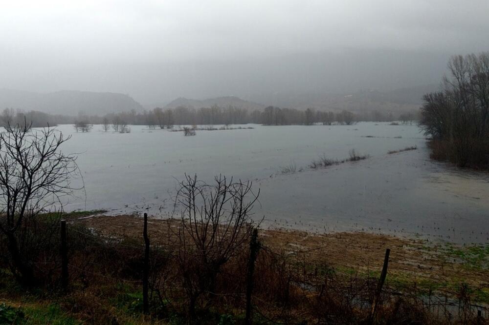 Foto: Svetlana Mandić