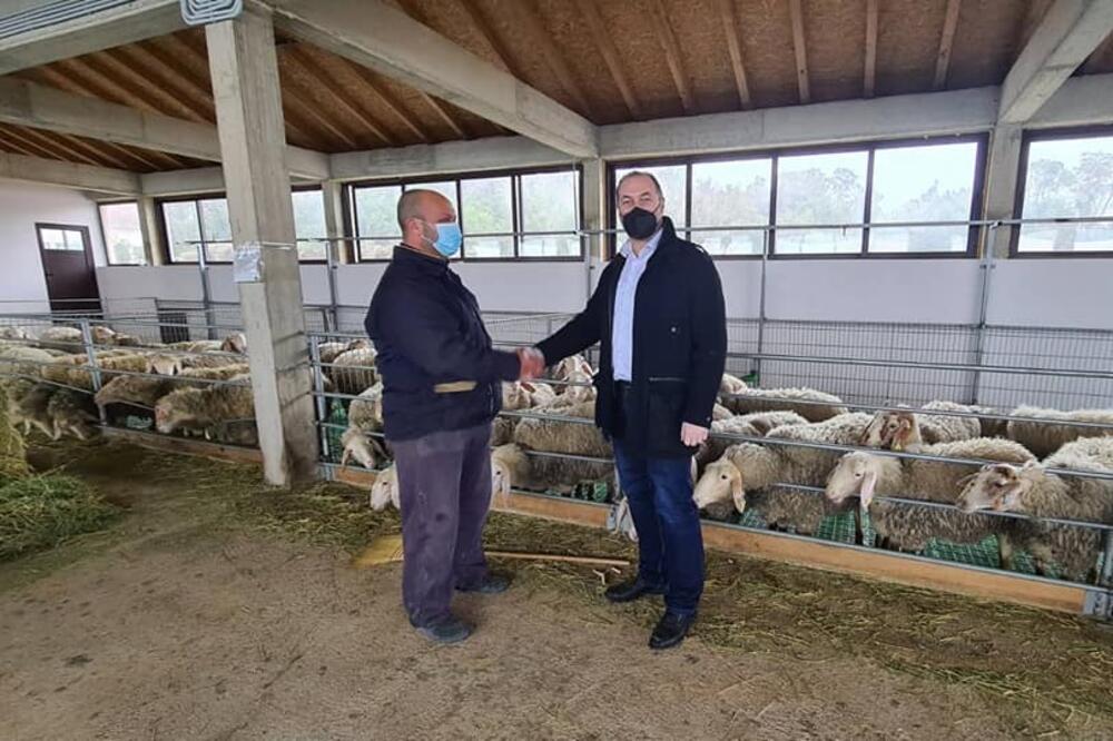 Stijović (desno) tokom posjete farmi Carevića, Foto: Ministarstvo poljoprivrede, šumarstva i vodoprivrede