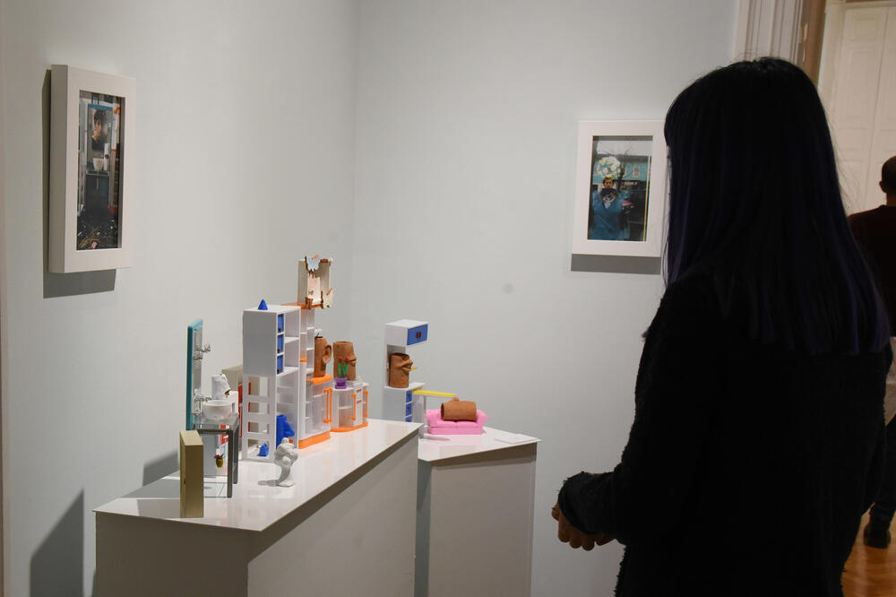 Sa izložbe u Dvorcu Petrovića, Foto: Luka Zeković