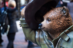 Međed, medved ili medvjed?