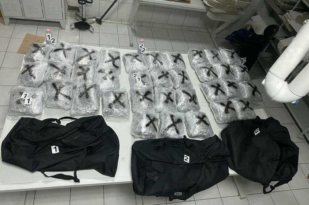 Zaplijenjena marihuana, Foto: Uprava policije