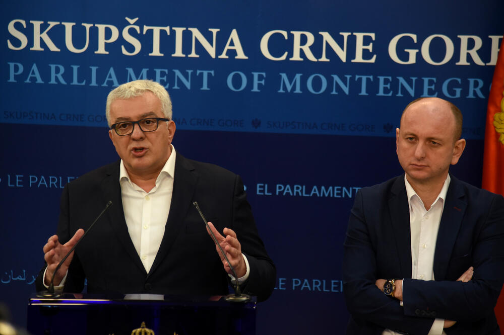 Detalj sa konferencije: Mandić i Knežević, Foto: Boris Pejović