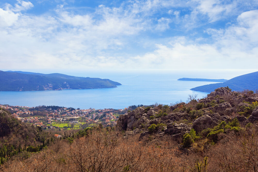 Ilustracija, Foto: Shutterstock