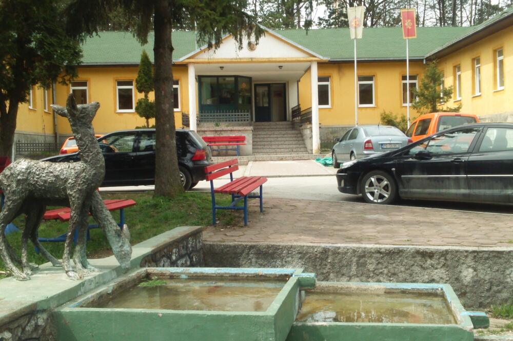 Fali radnika: Uprava za šume, Foto: Goran Malidžan