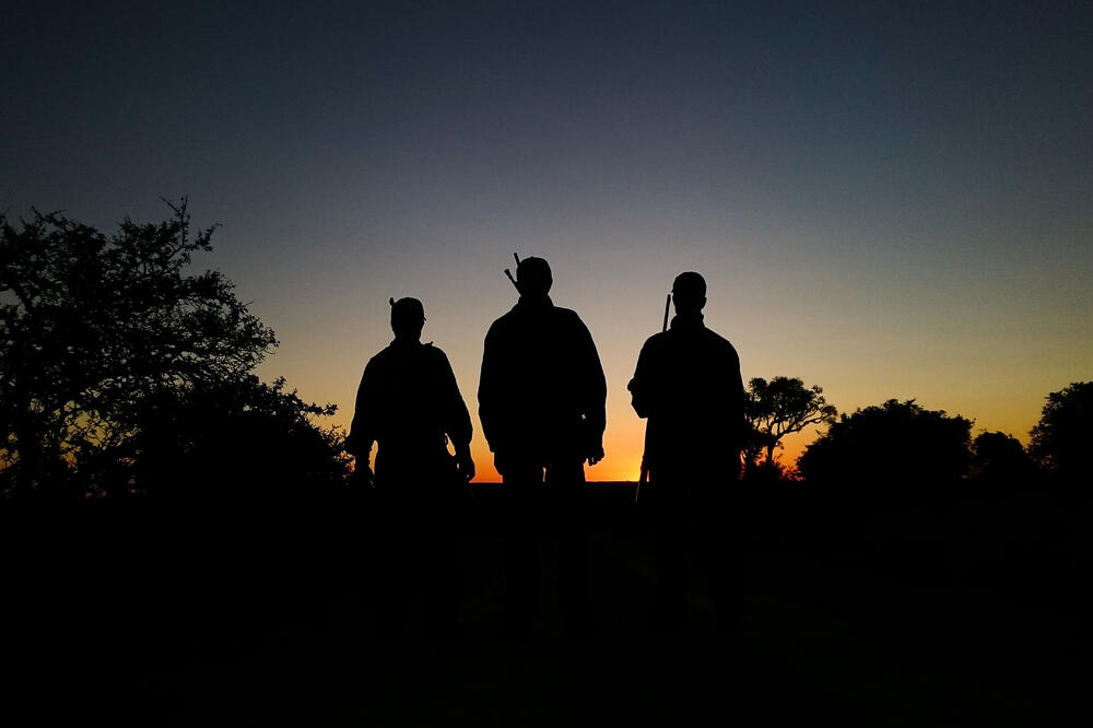 Ilustracija, Foto: Shutterstock