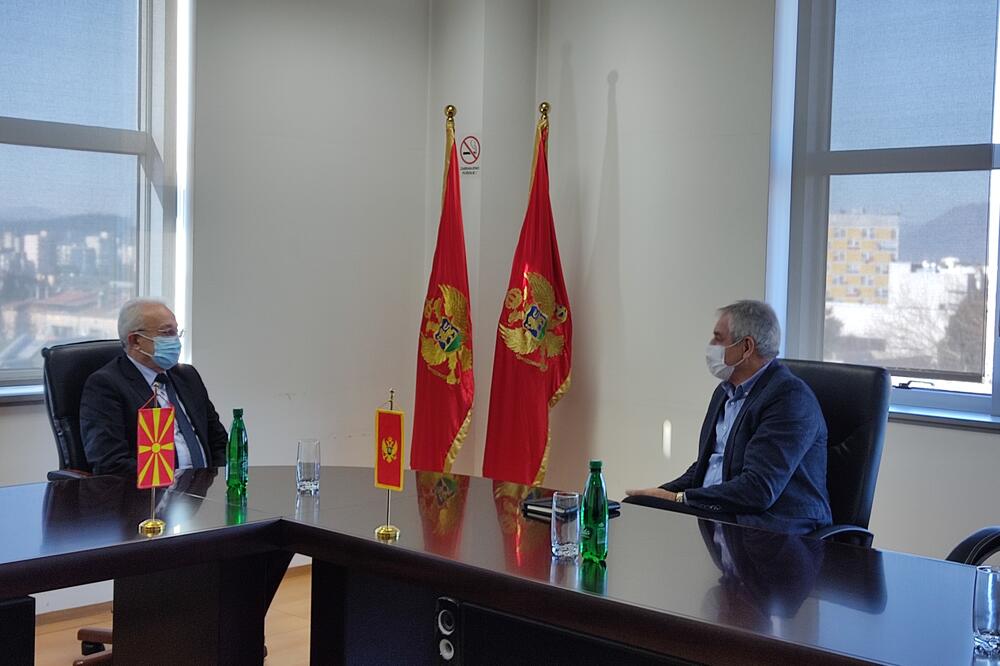 Trpovski i Mitrović, Foto: MEPG