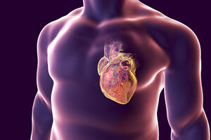 Procjena rizika: Kako se mjeri u kolikoj je opasnosti vaše srce