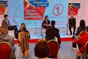 Evropski tim za Nikšić: Prioritet rješavanje pitanja nezaposlenosti